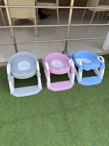 6In1 Potty Seat With Ladder