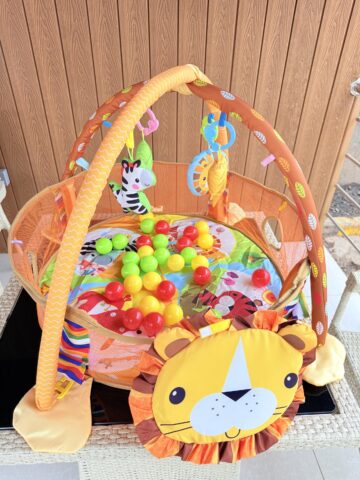 Activity Gym And Ball